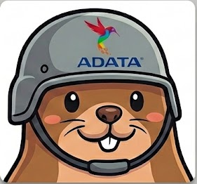 두더지 점수